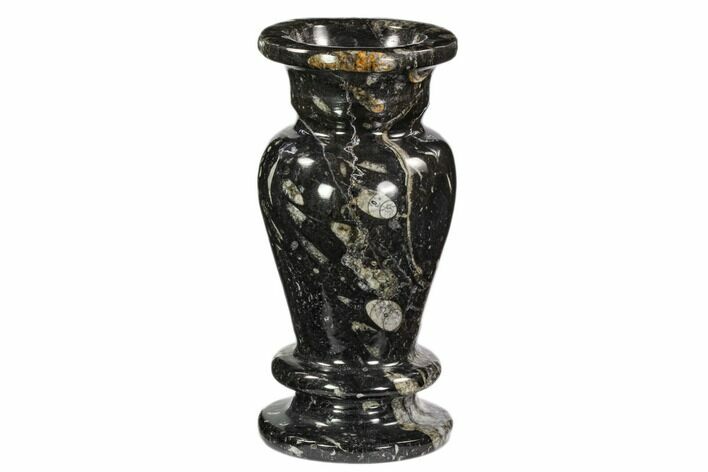 Limestone Vase With Orthoceras Fossils #104648